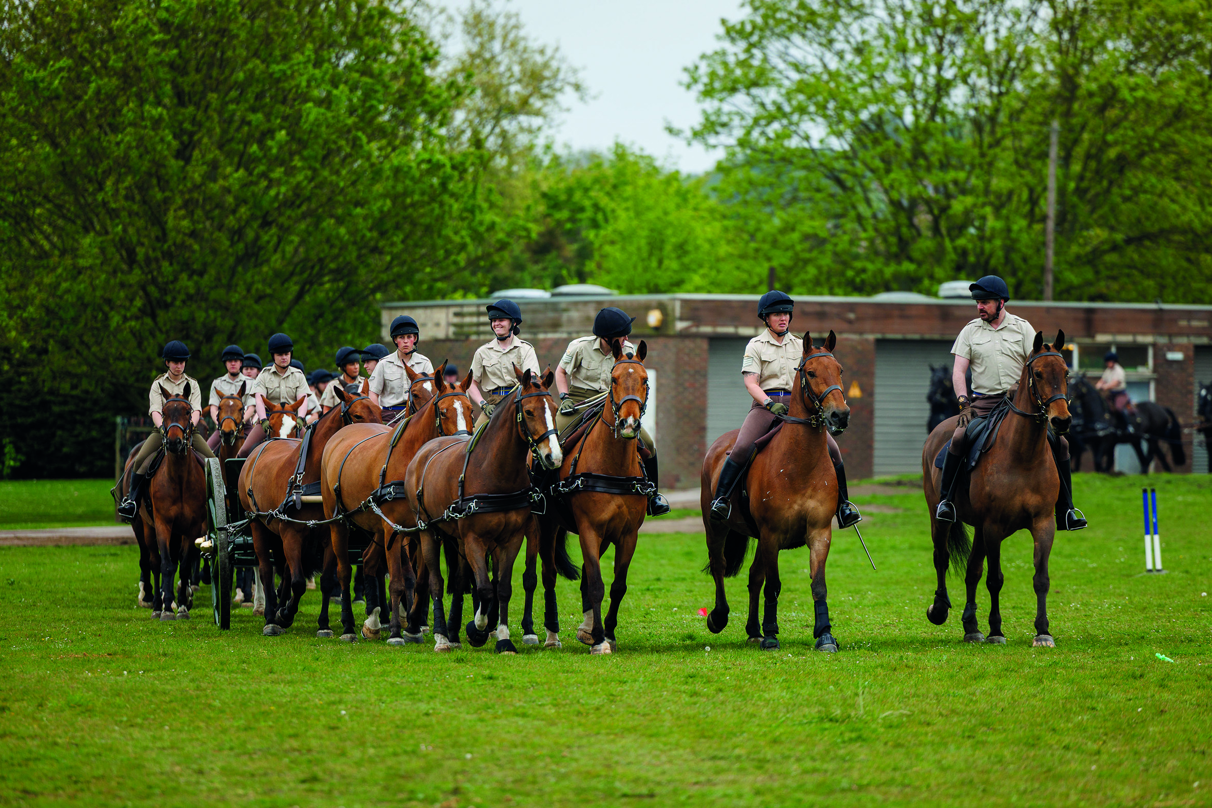 Group of women on brown horses